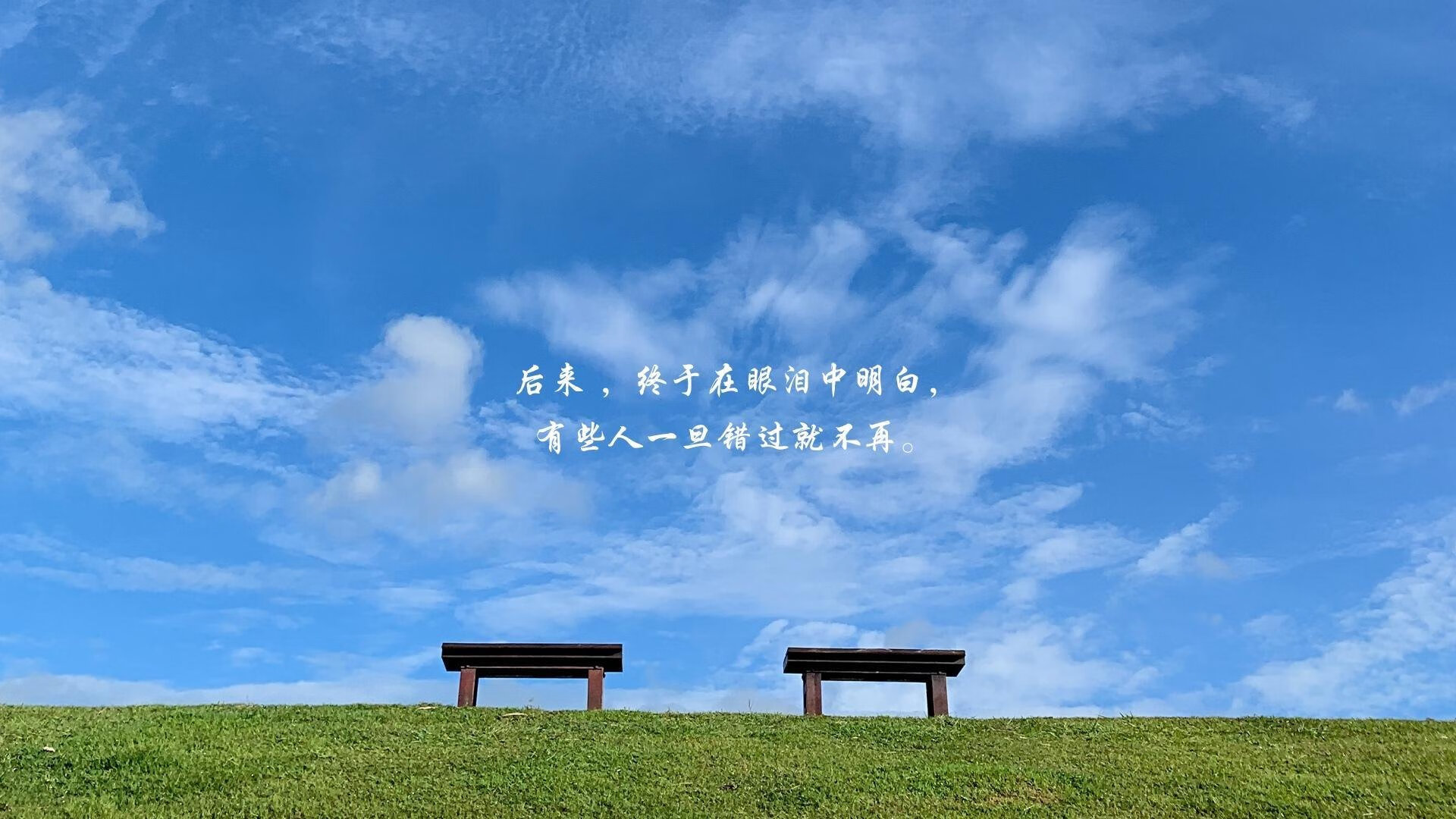 中国香港队赛制揭秘:如何在国际赛事中形成战术优势,香港队再添一枚金牌