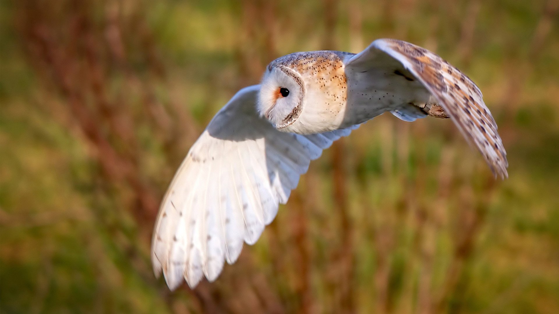 中国三人篮球女队坚持以防促攻提升效率,中国三人篮球女队员名单