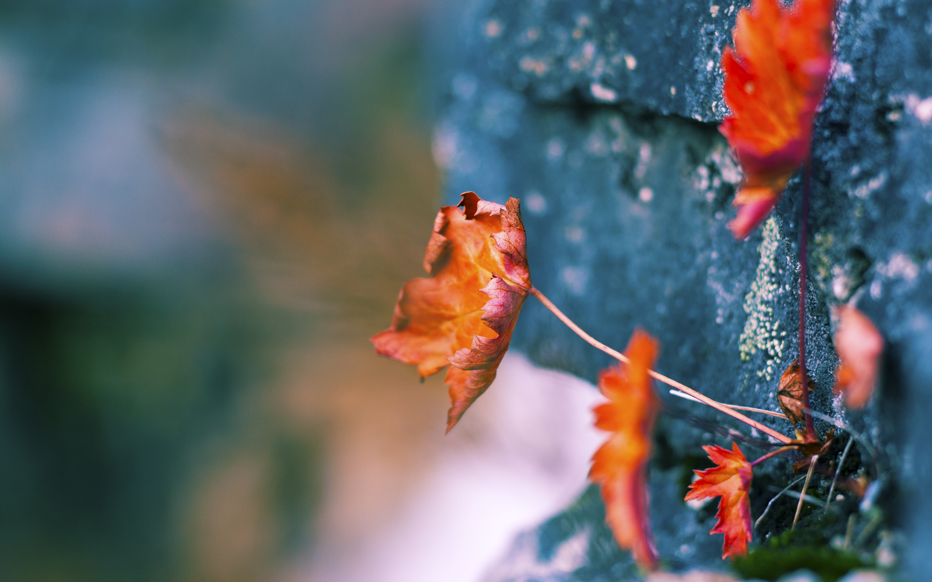 中国女篮坚持科学训练,中国女篮训练视频