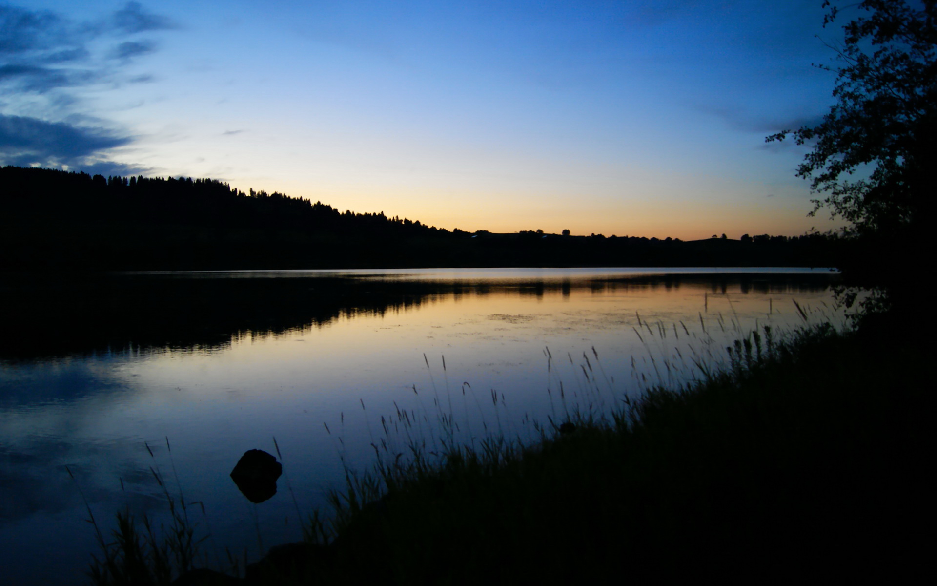 体操少年争霸赛展现未来之星竞技实力,学校体操少年